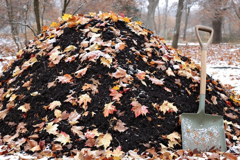 Ce que les feuilles mouillées font vraiment à votre compost.jpg