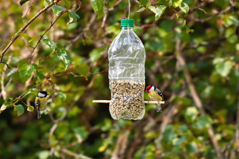 Comment une simple bouteille plastique devient une mangeoire idéale pour les oiseaux du jardin.jpg
