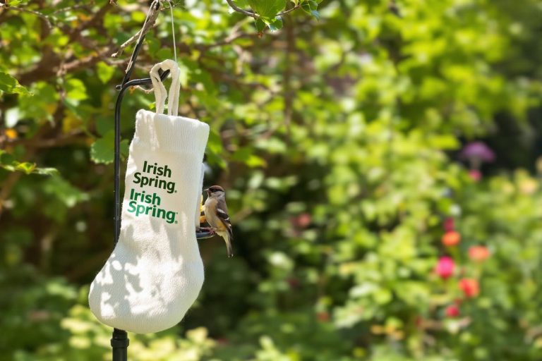 Glisser un savon dans une chaussette : cette astuce inattendue (et ultra simple) protège les oiseaux de votre jardin.jpg