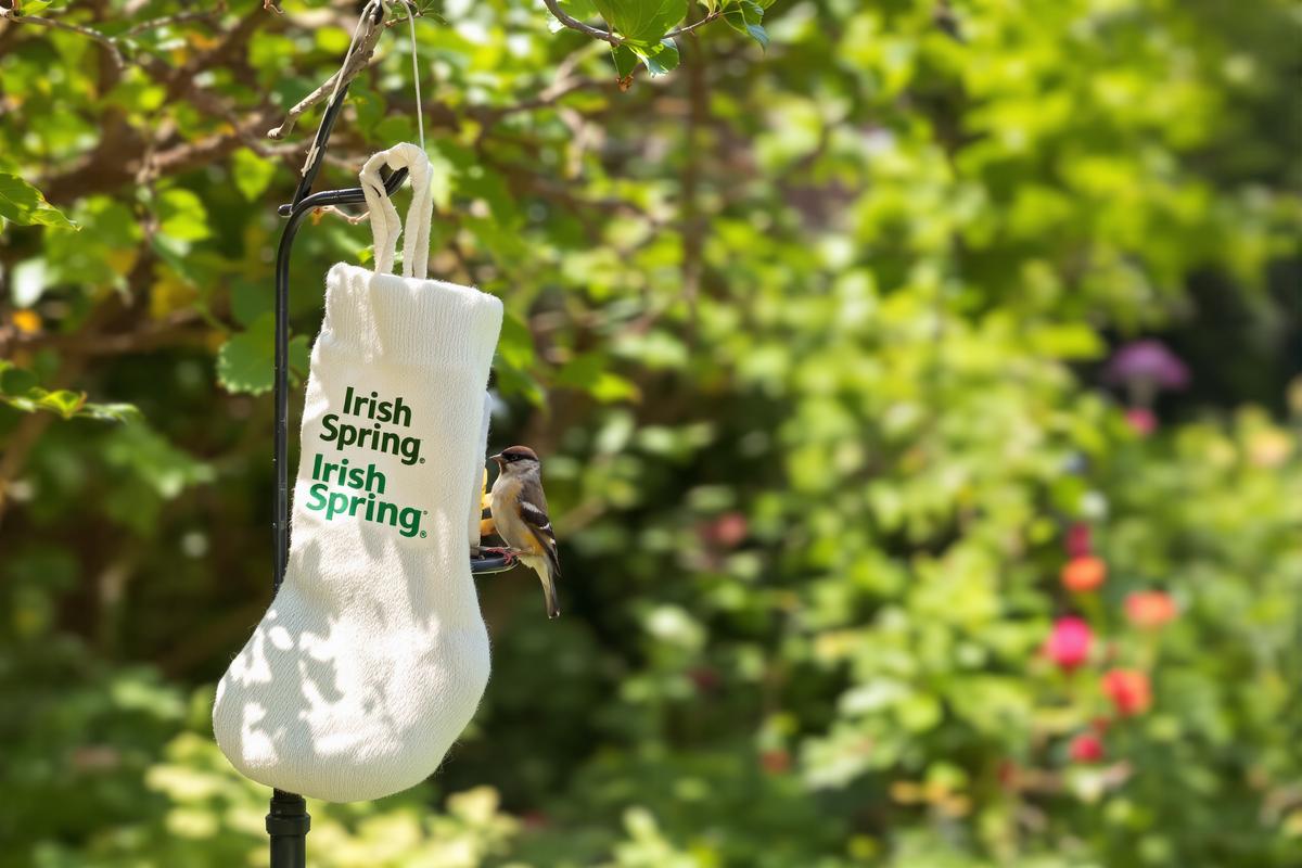 Glisser un savon dans une chaussette : cette astuce inattendue (et ultra simple) protège les oiseaux de votre jardin.jpg