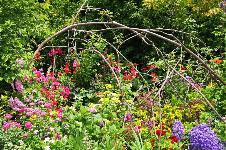 Jardin : si vous jetez encore ces branches tombées, vous ratez 18 usages étonnants et très utiles.jpg