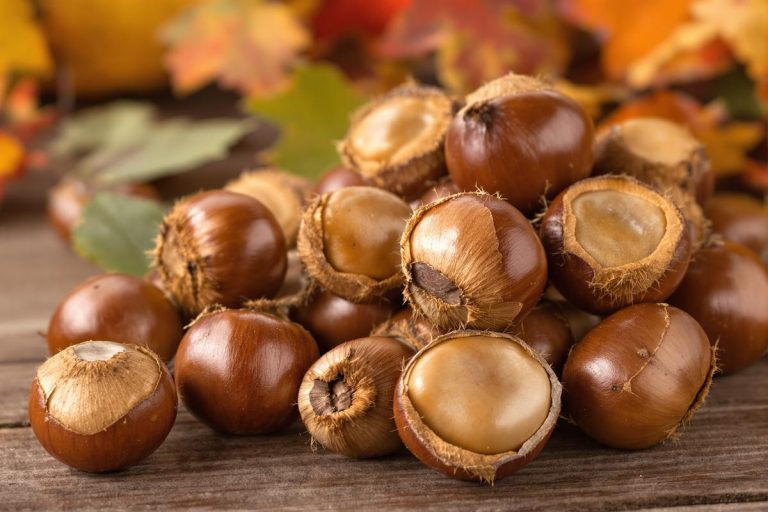 Quel est ce fruit d’automne qui fait fondre le cholestérol et la graisse abdominale ?.jpg