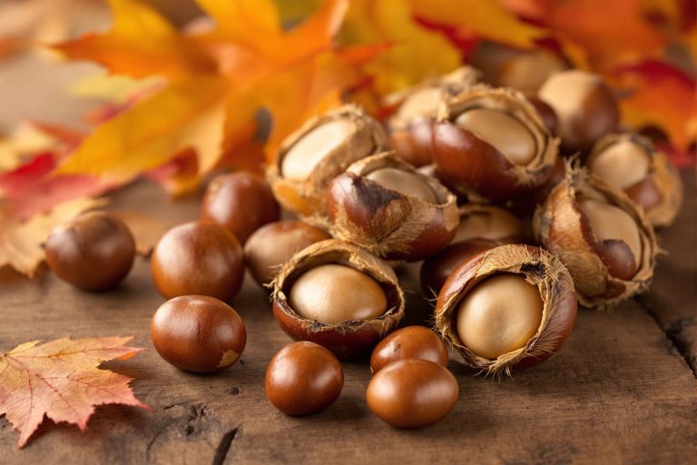 Quel est ce fruit d’automne qui fait fondre le cholestérol et la graisse abdominale ?.jpg
