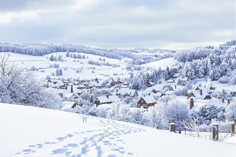 Vague de froid entre Noël et le Nouvel An : le grand retour confirmé de la neige en plaine.jpg