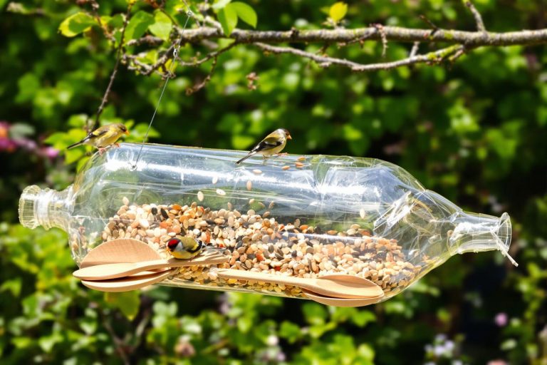 Voici comment une bouteille plastique devient une mangeoire parfaite.jpg
