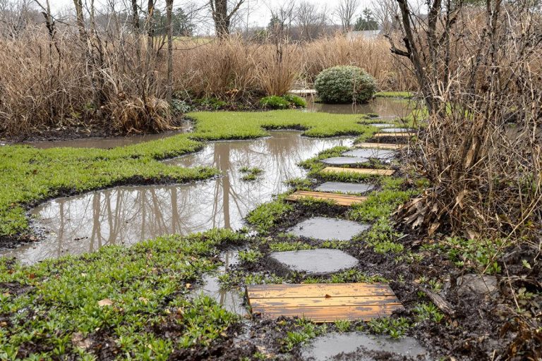 Chaque hiver, ce coin du jardin se transforme en gadoue : cette méthode cachée des jardiniers l’empêche définitivement.jpg
