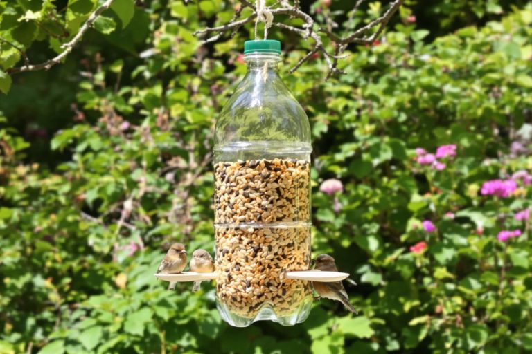 Voici comment une bouteille plastique devient une mangeoire parfaite.jpg